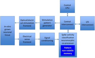 On-Chip TaOx-Based Non-volatile Resistive Memory for in vitro Neurointerfaces